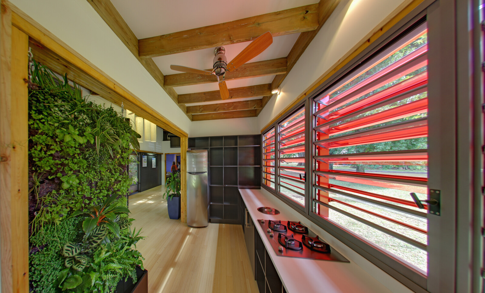 concept de maison tropical environnemental - vue cuisine